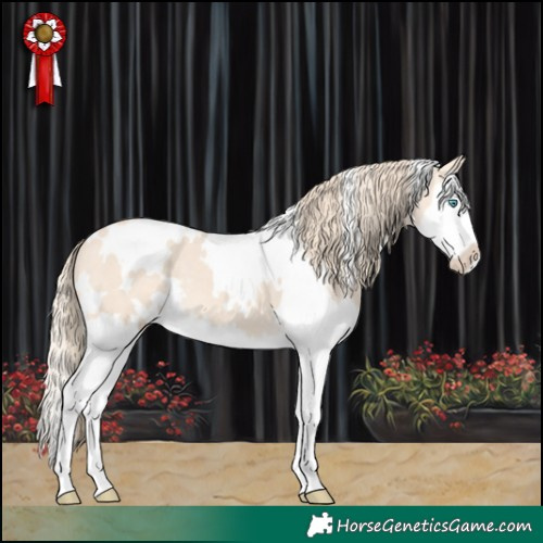 Horse Color:White Spotted Perlino Splash 