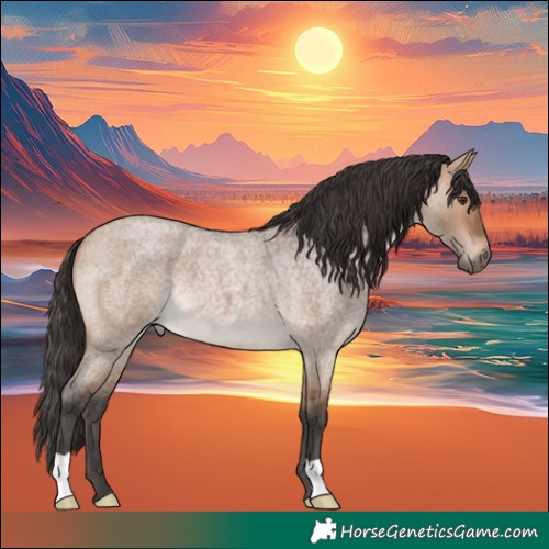 Horse Color:Bay Roan Dun 