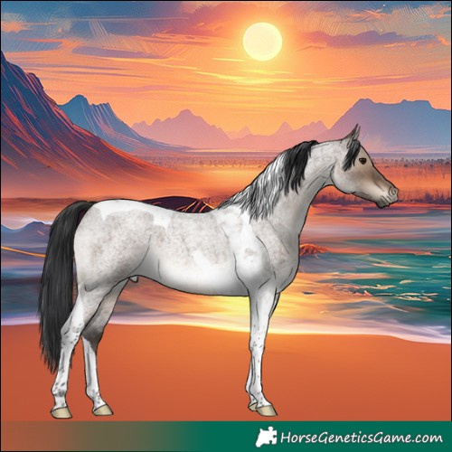 Horse Color:Brown Roan Dun Tobiano