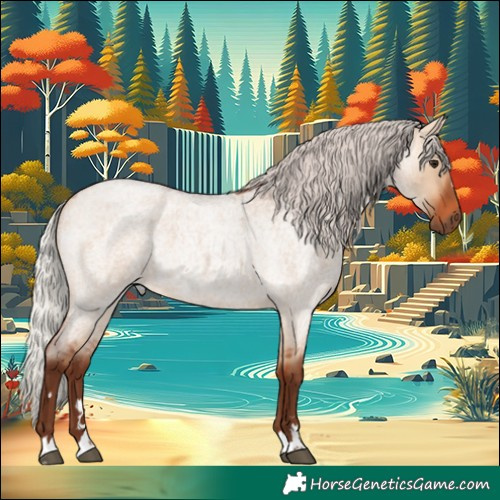 Horse Color:Silver Bay Roan Dun 