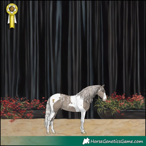 Horse Color:Powder White Silver Grullo Tobiano Varnish