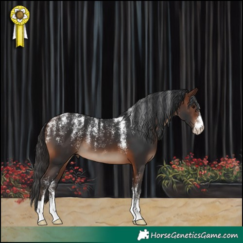 Horse Color:Powder White Brown