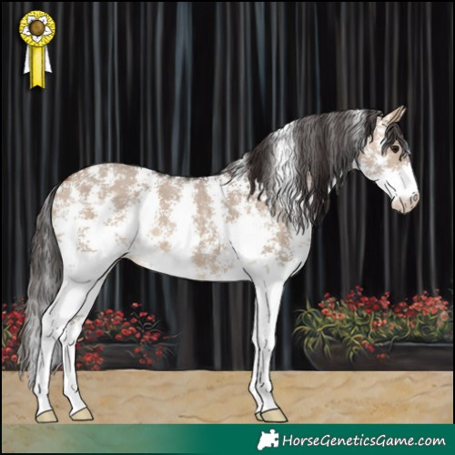 Horse Color:Bay Dun Sabino 