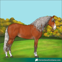 Horse Color:Silver Bay