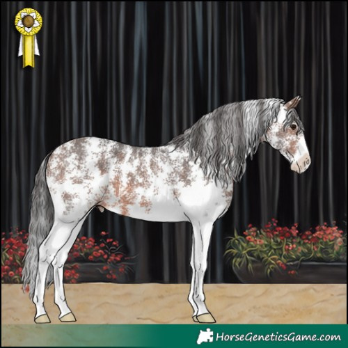 Horse Color:Brown Sabino