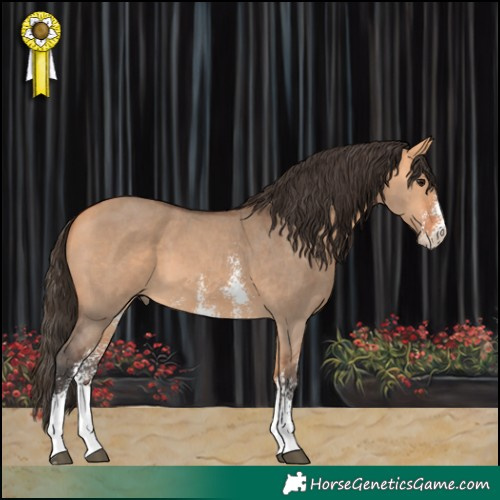 Horse Color:Bay Dun Sabino 
