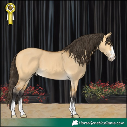 Horse Color:Buckskin Dun 