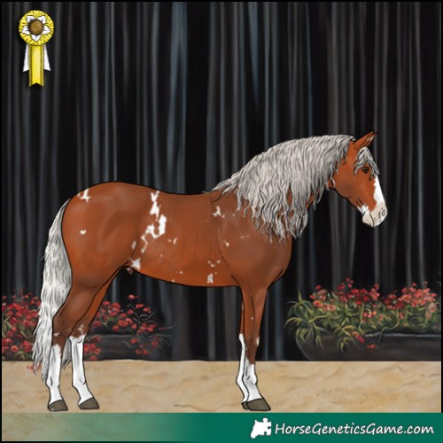 Horse Color:White Spotted Silver Bay Splash Rabicano