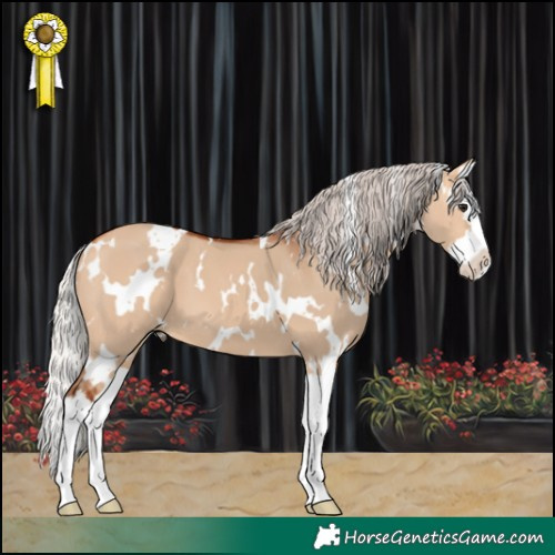 Horse Color:White Spotted Silver Bay Dun Splash