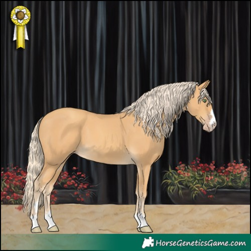 Horse Color:Gold Cream Champagne