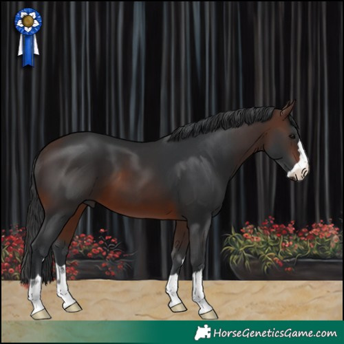 Horse Color:Brown 