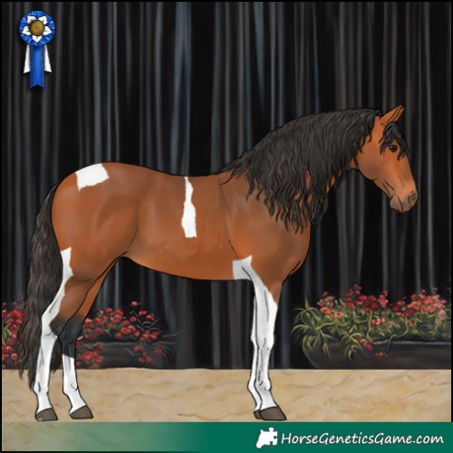 Horse Color:Bay Tobiano 