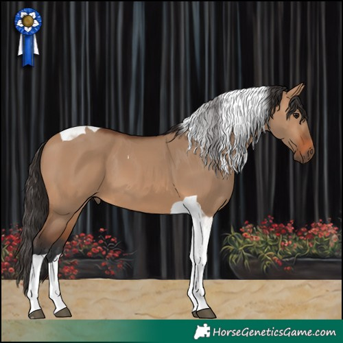 Horse Color:Bay Dun Tobiano
