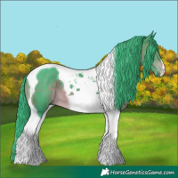 Horse Color:Watercolor Brown Tobiano