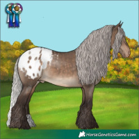 Horse Color:Silver Brown Dun Appaloosa
