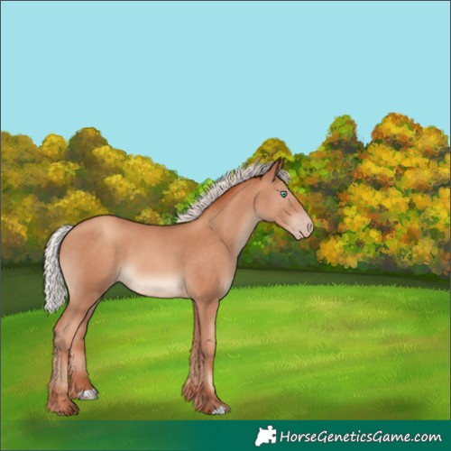 Horse Color:Silver Sable Champagne 