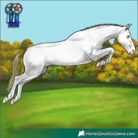 Horse Color:White Spotted Sable Champagne 