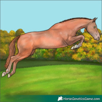 Horse Color:Gold Champagne