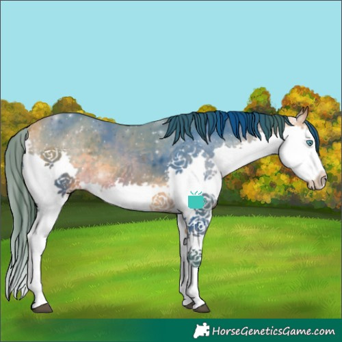 Horse Color:Watercolor Buckskin Splash 