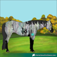 Horse Color:Void Brown Ice Sabino Tobiano 