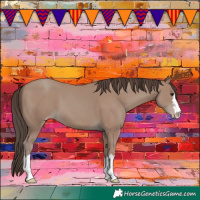 Horse Color:Classic Champagne 