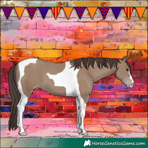 Horse Color:Classic Champagne Tobiano