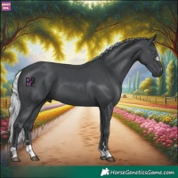 Horse Color:Silver Black Chinchilla 