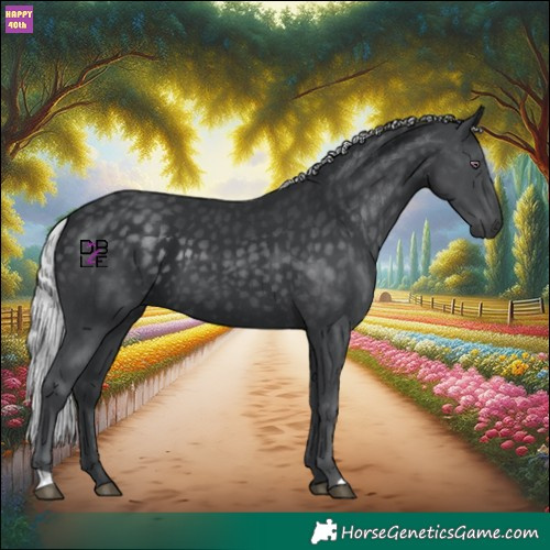 Horse Color:Silver Black Chinchilla 