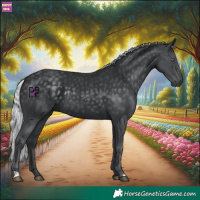 Horse Color:Silver Black Chinchilla 