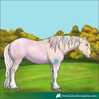 Horse Color:White Spotted Silver Classic Champagne Dun Tobiano Rabicano 