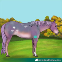 Horse Color:Watercolor Chestnut