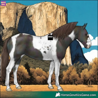 Horse Color:Midnight Amber Champagne Ice Onyx Tobiano 