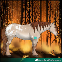 Horse Color:White Spotted Red Dun Blanket 
