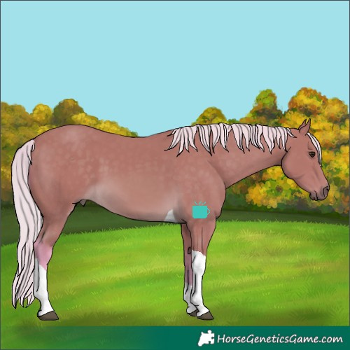 Horse Color:Watercolor Silver Buckskin Tobiano 