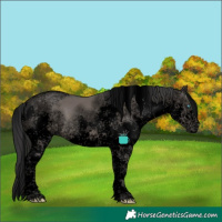 Horse Color:Void Grullo Splash Tobiano Frame