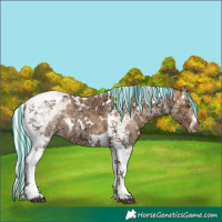 Horse Color:Painted White Spotted Silver Bay Ice Dun Tobiano