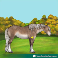 Horse Color:Silver Brown Dun Sabino Tobiano Rabicano