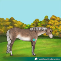 Horse Color:Silver Brown Dun Sabino Tobiano Varnish Rabicano