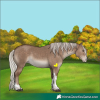 Horse Color:Silver Grullo Sabino Tobiano Appaloosa Rabicano