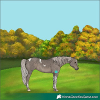 Horse Color:Silver Black Tobiano 