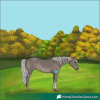Horse Color:Silver Black Tobiano