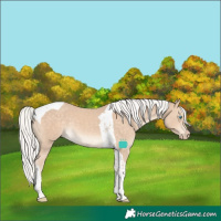 Horse Color:Silver Perlino Tobiano 