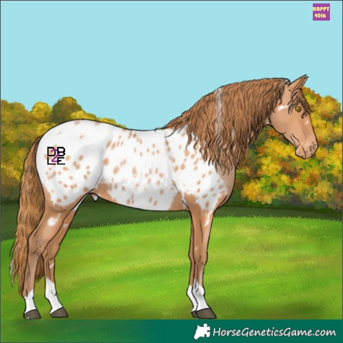 Horse Color:White Spotted Bay Pearl Tobiano Appaloosa 