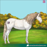 Horse Color:White Spotted Smoky Grullo Pearl 