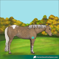Horse Color:Silver Smoky Black Tobiano Snowcap 