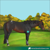 Horse Color:Brown Tobiano Varnish