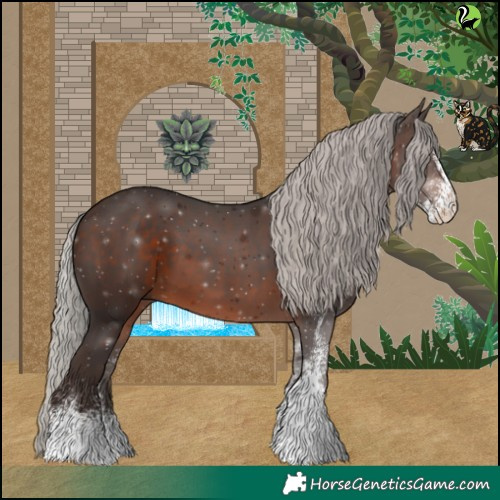 Horse Color:White Spotted Silver Brown