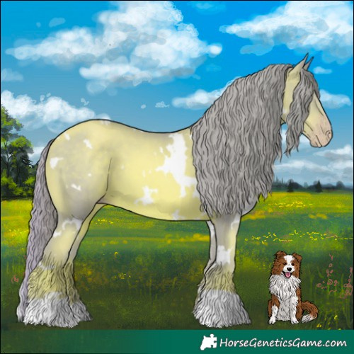 Horse Color:Watercolor White Spotted Gold Champagne 