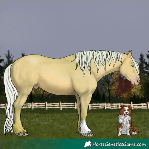 Horse Color:Watercolor Silver Amber Champagne