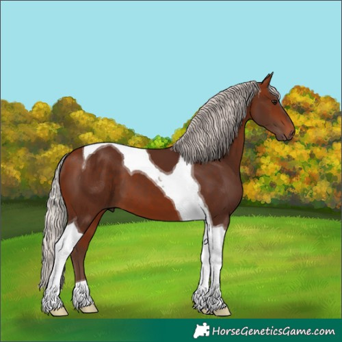 Horse Color:Silver Bay Tobiano 